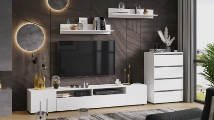 Стеллаж Исп. 1 Денвер   